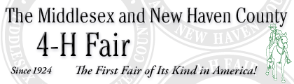Our Fair's banner and seal