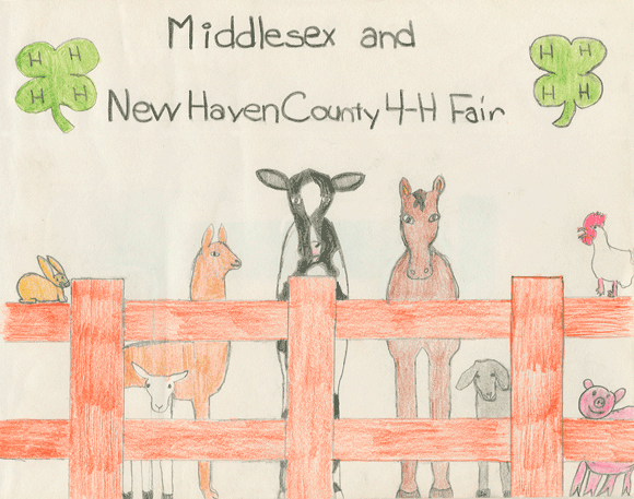 Middlesex and New Haven County 4-H Fair