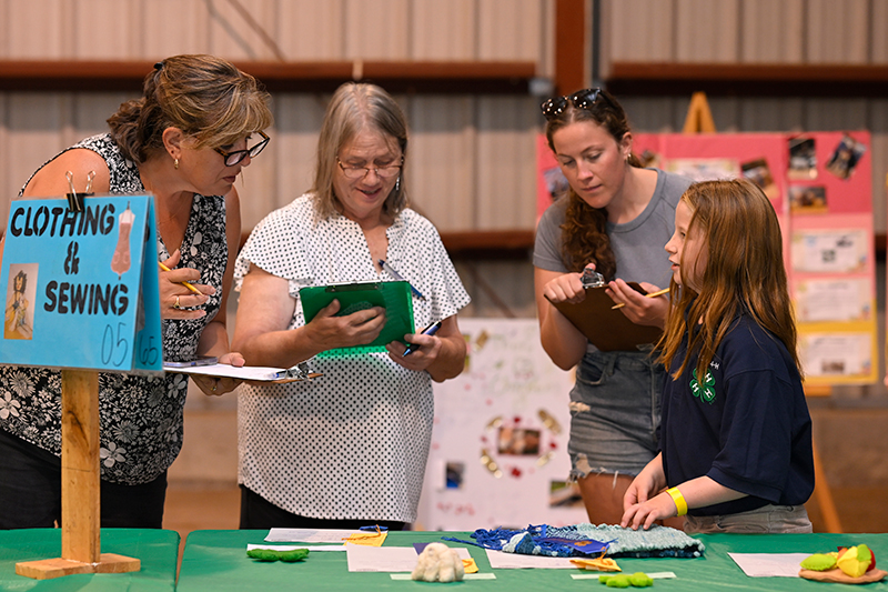 judging Home Arts Premier